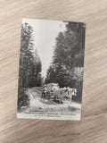 Ancienne carte postale Le Dauphiné Chartreuse vaches charrette forêt Isère