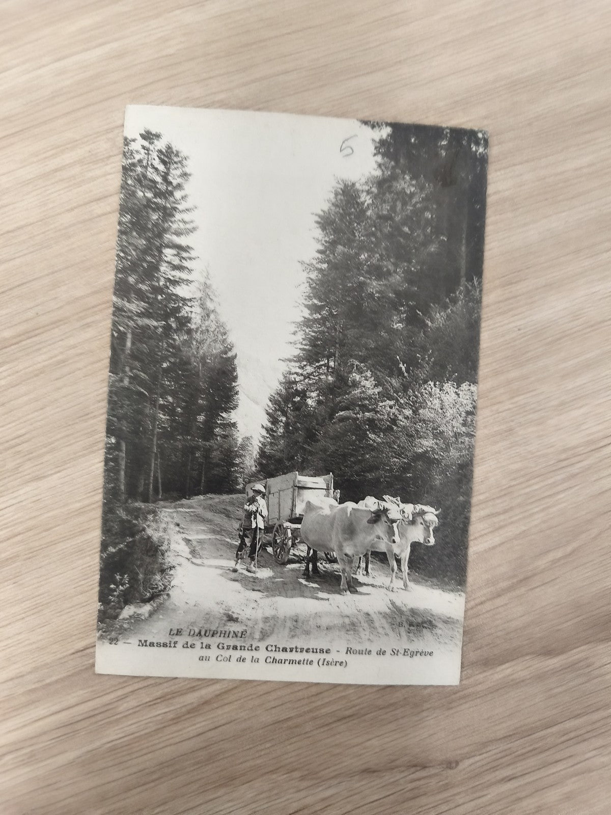 Ancienne carte postale Le Dauphiné Chartreuse vaches charrette forêt Isère