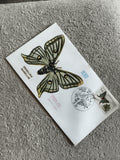 Lettre FDC Graellsia isabellae papillon Premier Jour CEF philatélie timbre