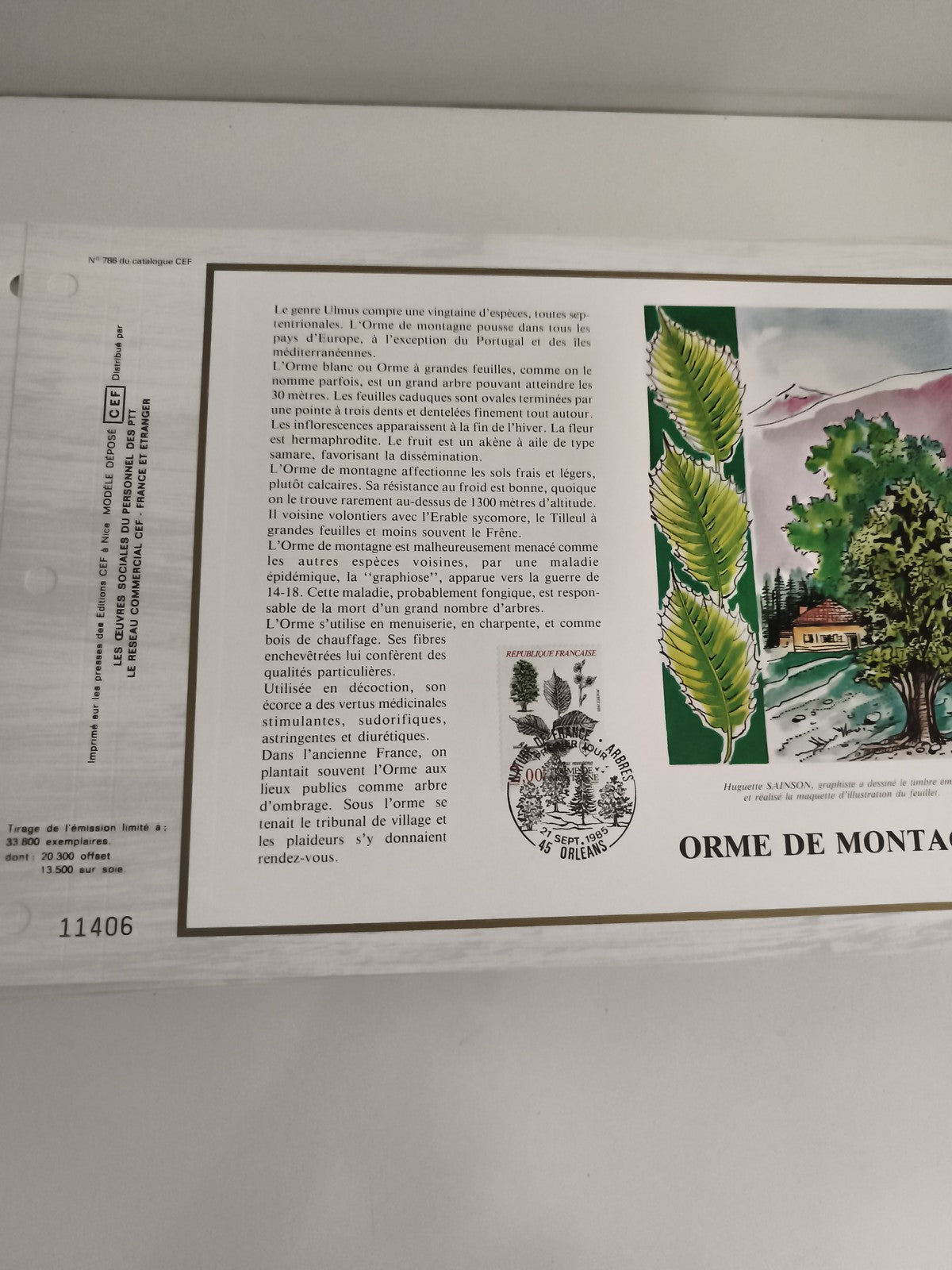 Feuillet CEF philatélie Orme de Montagne timbre 1989 illustré botanique