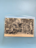 Carte postale ancienne vintage bananeraie tropicale collection rétro France