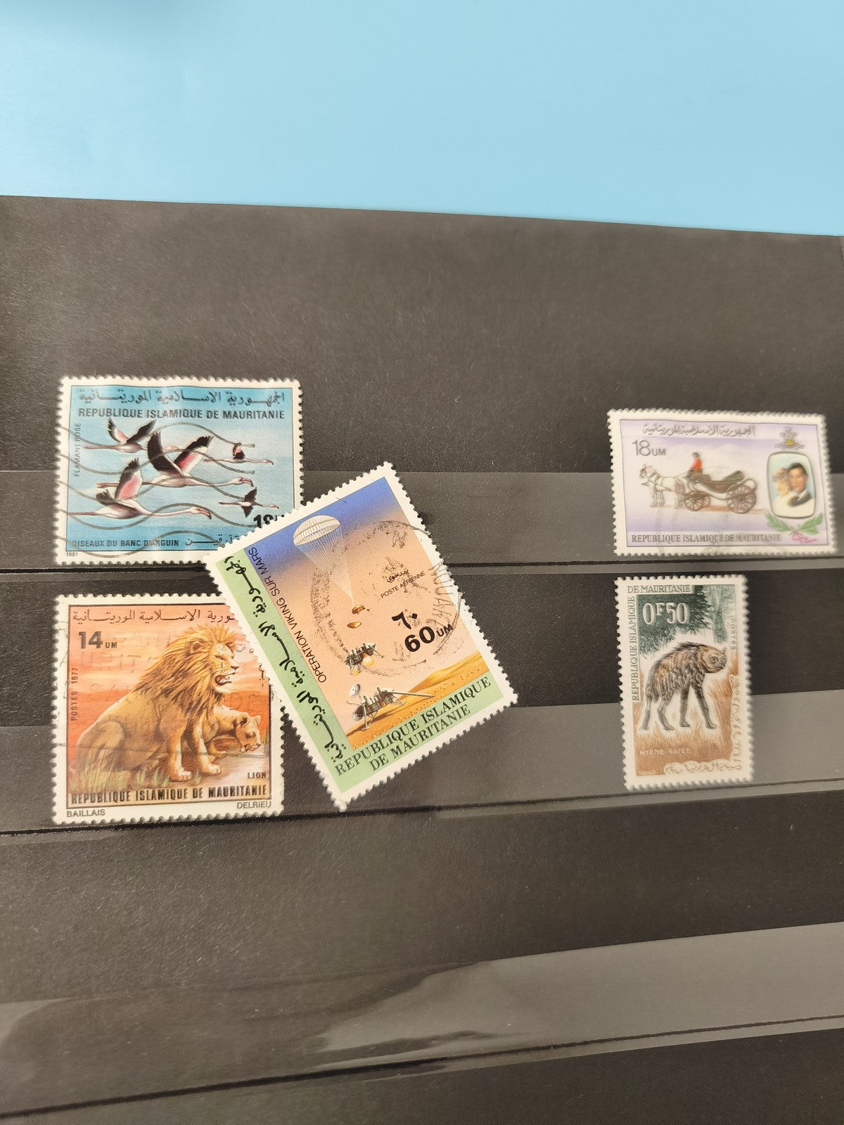 Lot anciens timbres oblitérés Mauritanie animaux, thématiques faune, collection