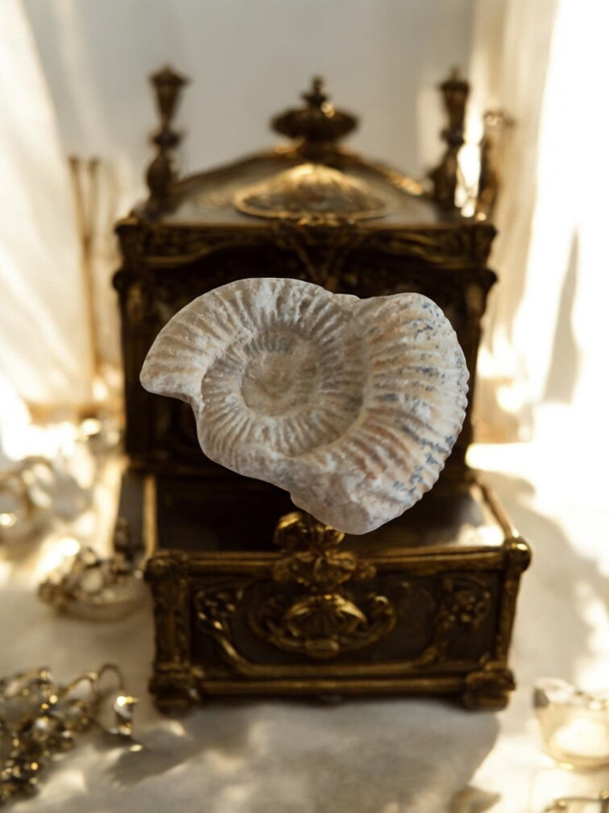 Ammonite fossile Jurassique spirale, aspect naturel, pièce décorative minérale