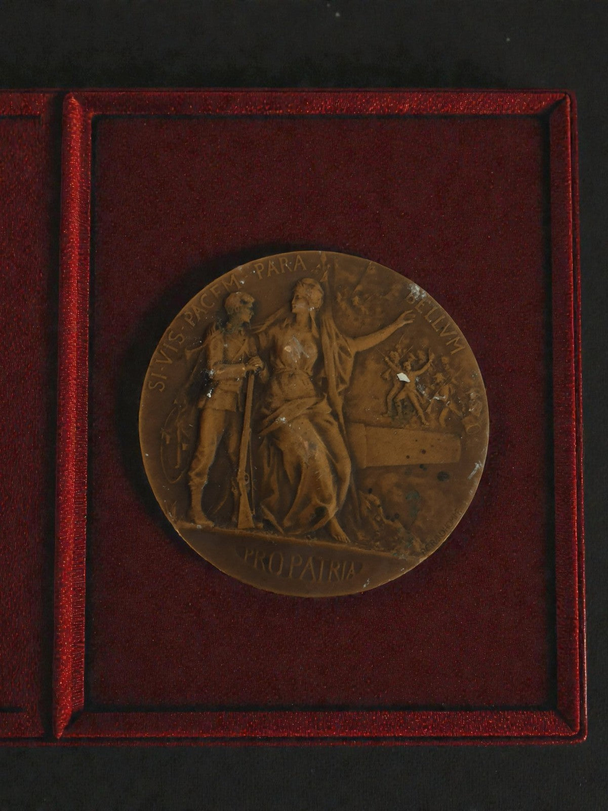 Médaille ancienne bronze PRO PATRIA préparation militaire XIXe siècle