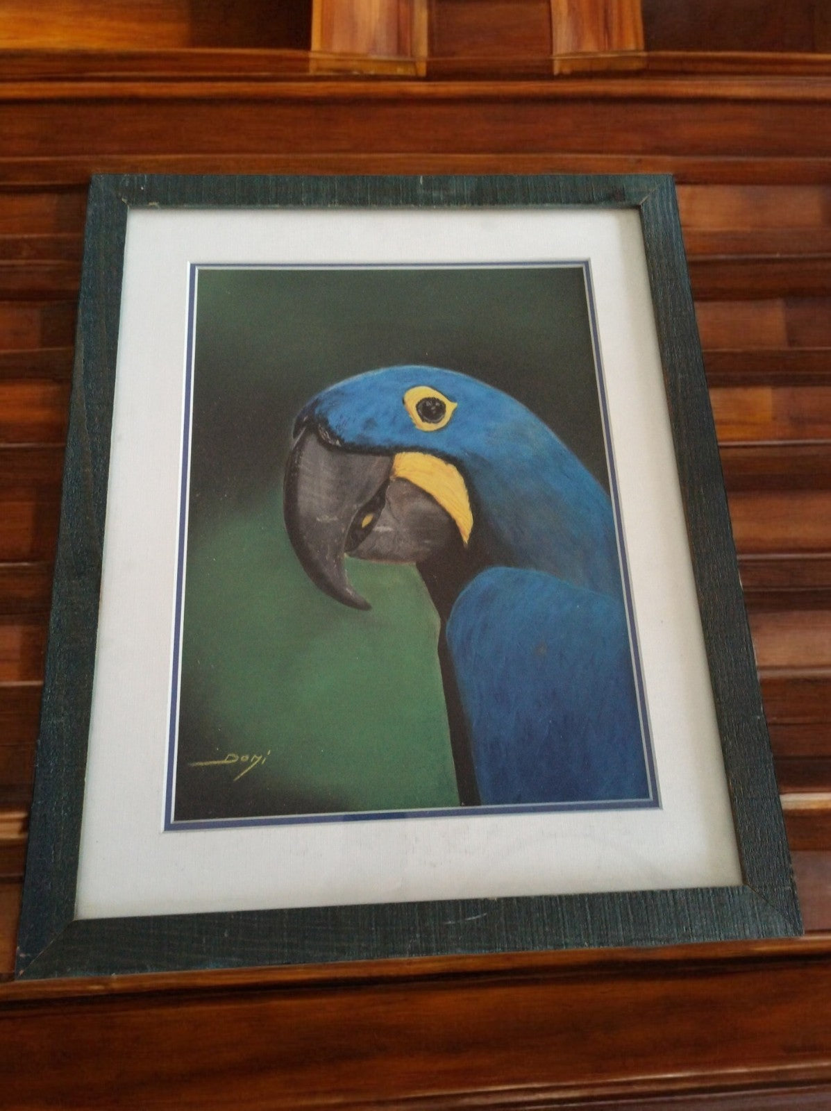 Peinture animalière perroquet bleu encadrée signée Domi Matthieu