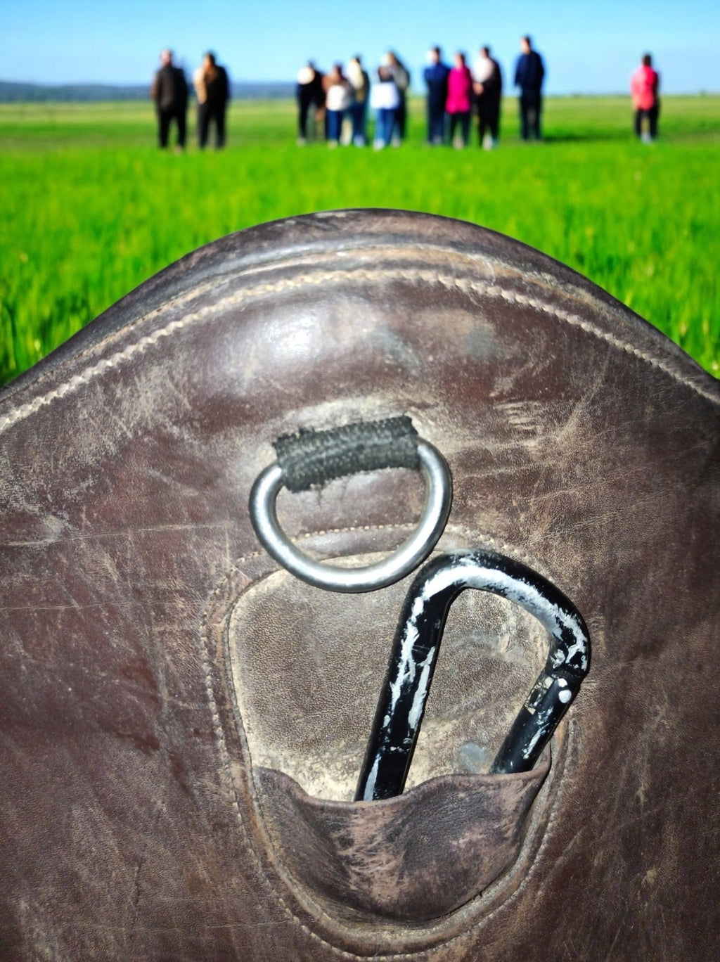 Sangle bavette cheval en cuir vintage marron, protection équitation ancienne