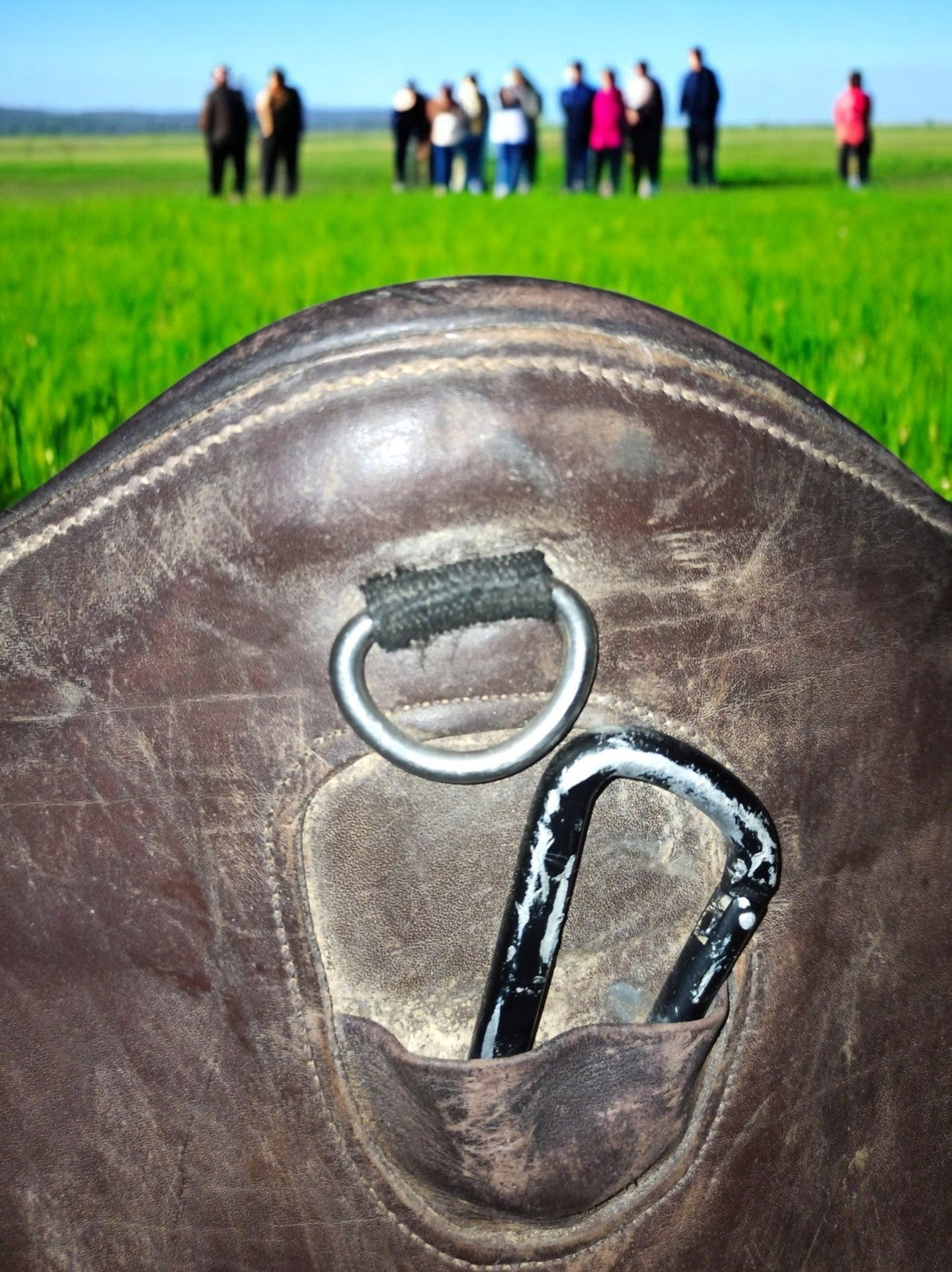 Sangle bavette cheval en cuir vintage marron, protection équitation ancienne