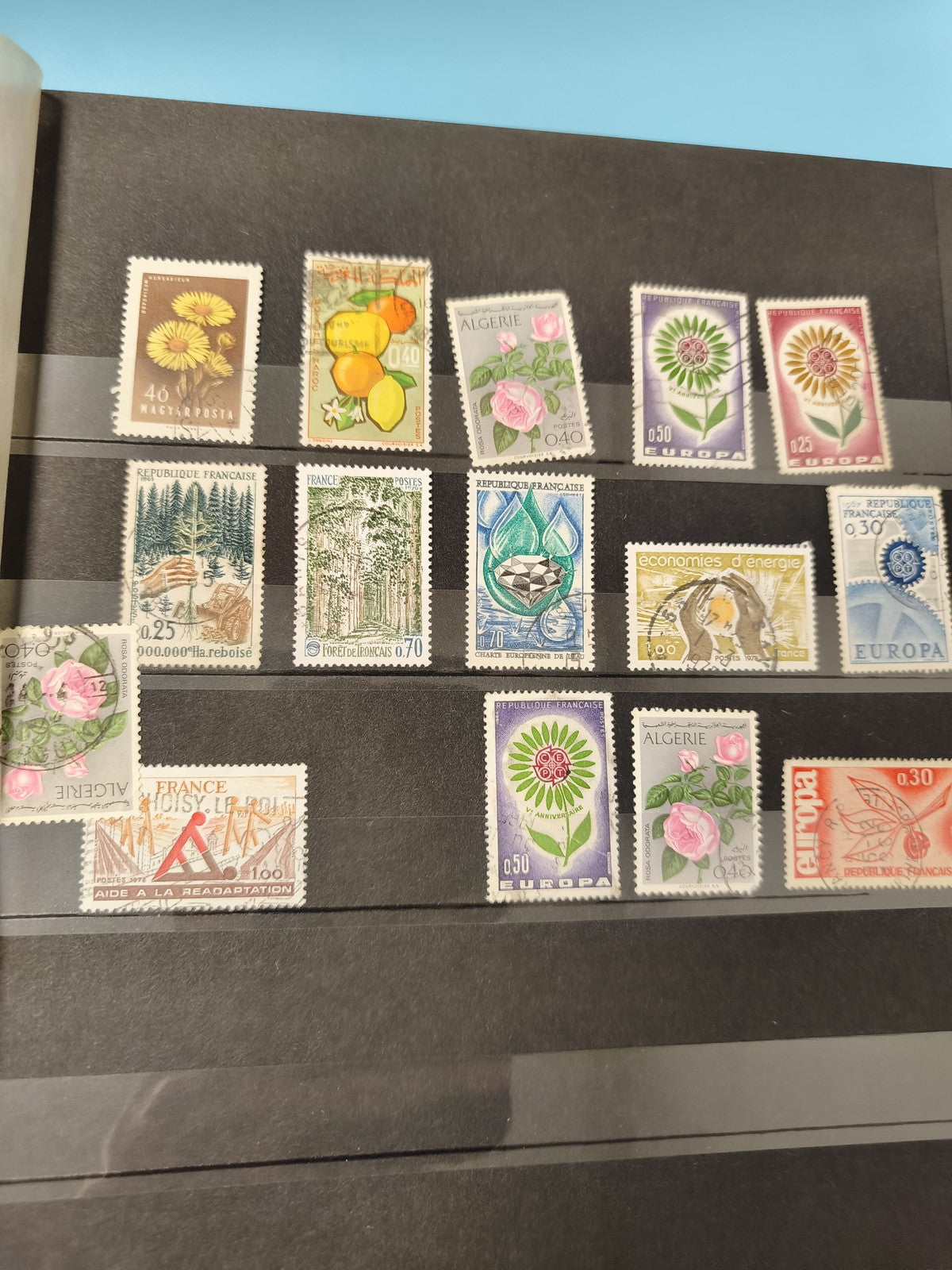Lot anciens timbres oblitérés étrangers et France, fleurs arbres fruits, collect