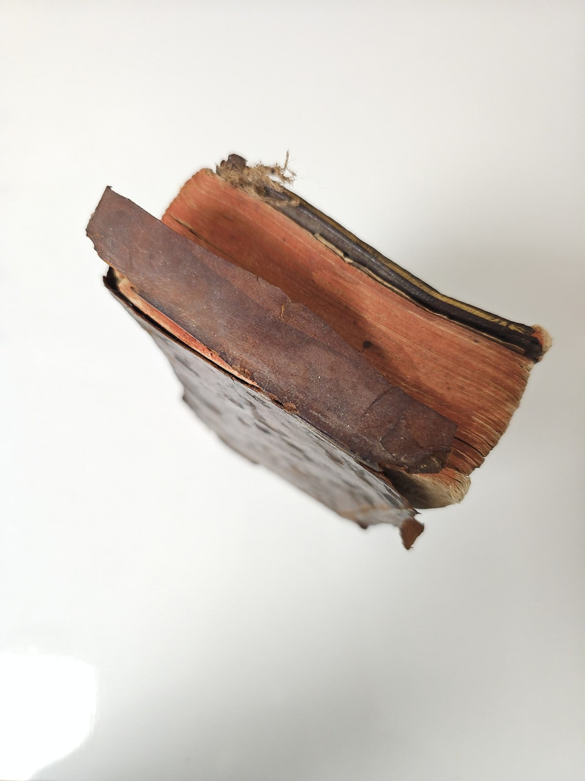Livre ancien médecine pratique Arnault de Nobleville vintage collection rare