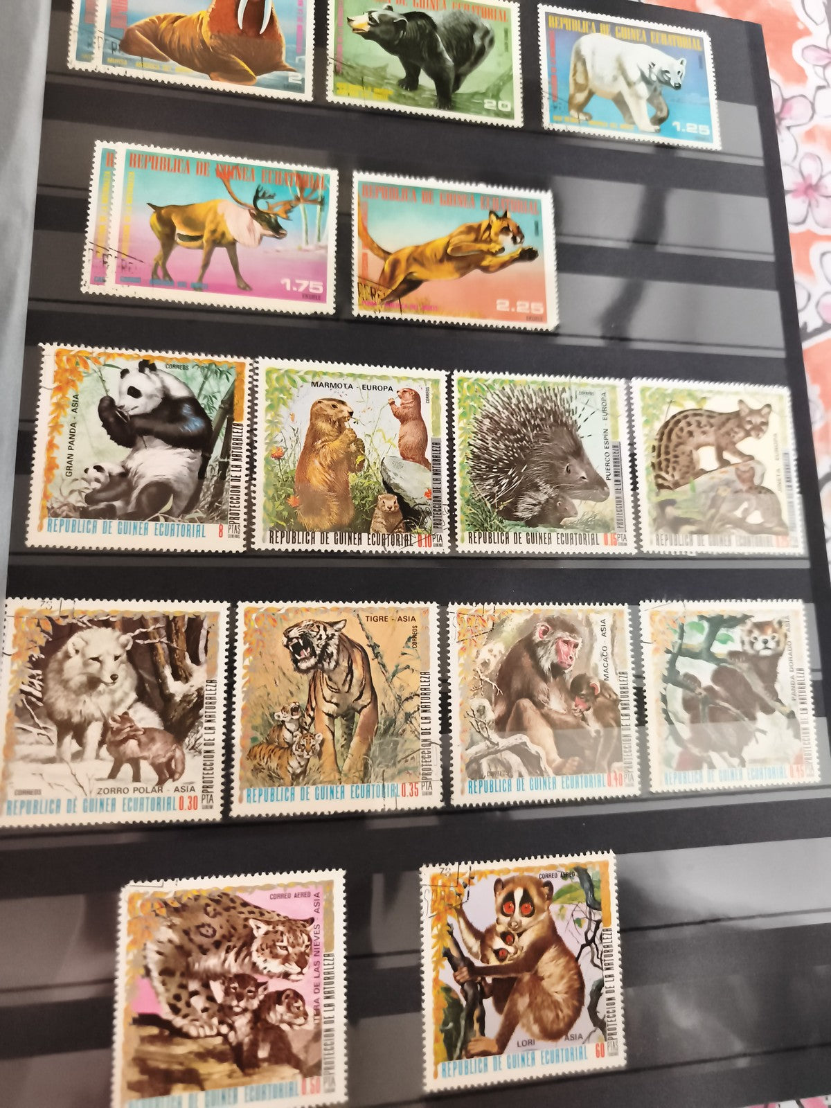 Timbres anciens animaux sauvages Guinée Équatoriale vintage faune exotique phila