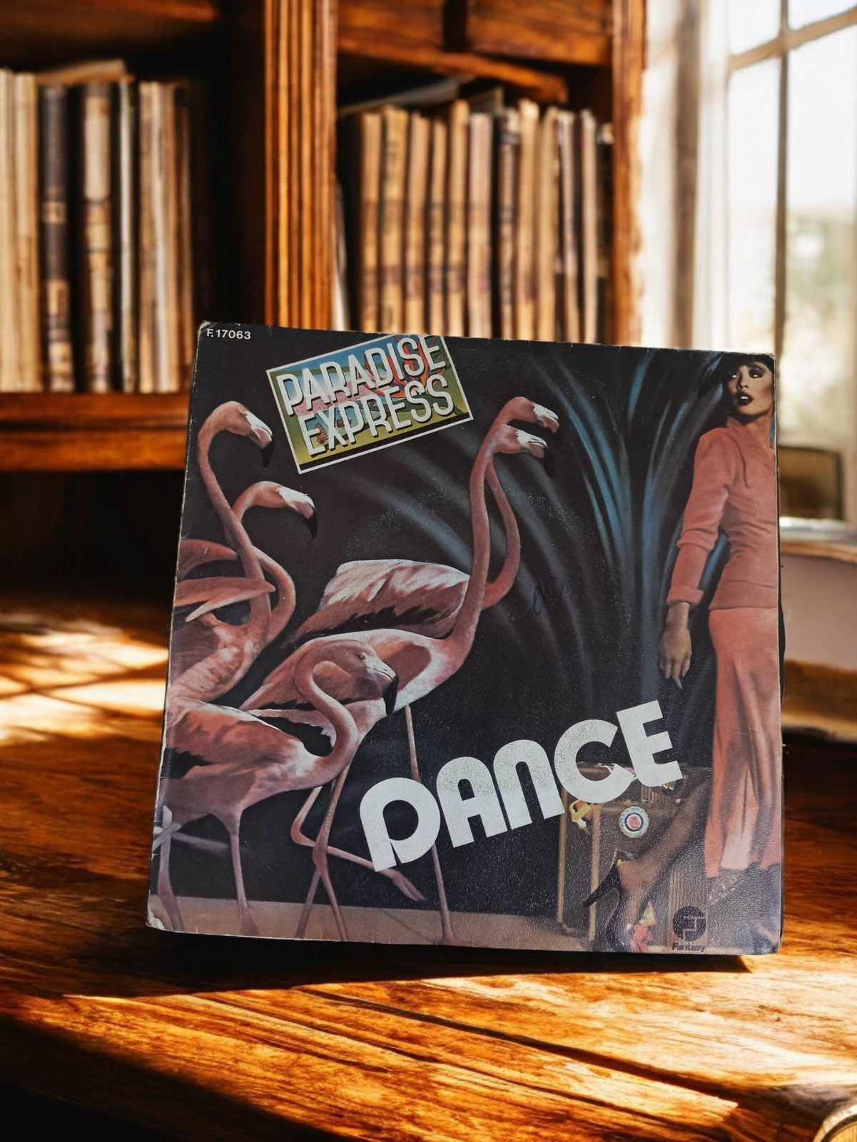 Disque vinyle 45 tours Paradise Express Dance vintage rétro pochette flamants