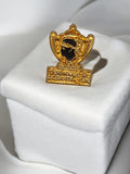 Pin's ancien Coupe de France 1984 SC Bastia OM trophée vintage doré football