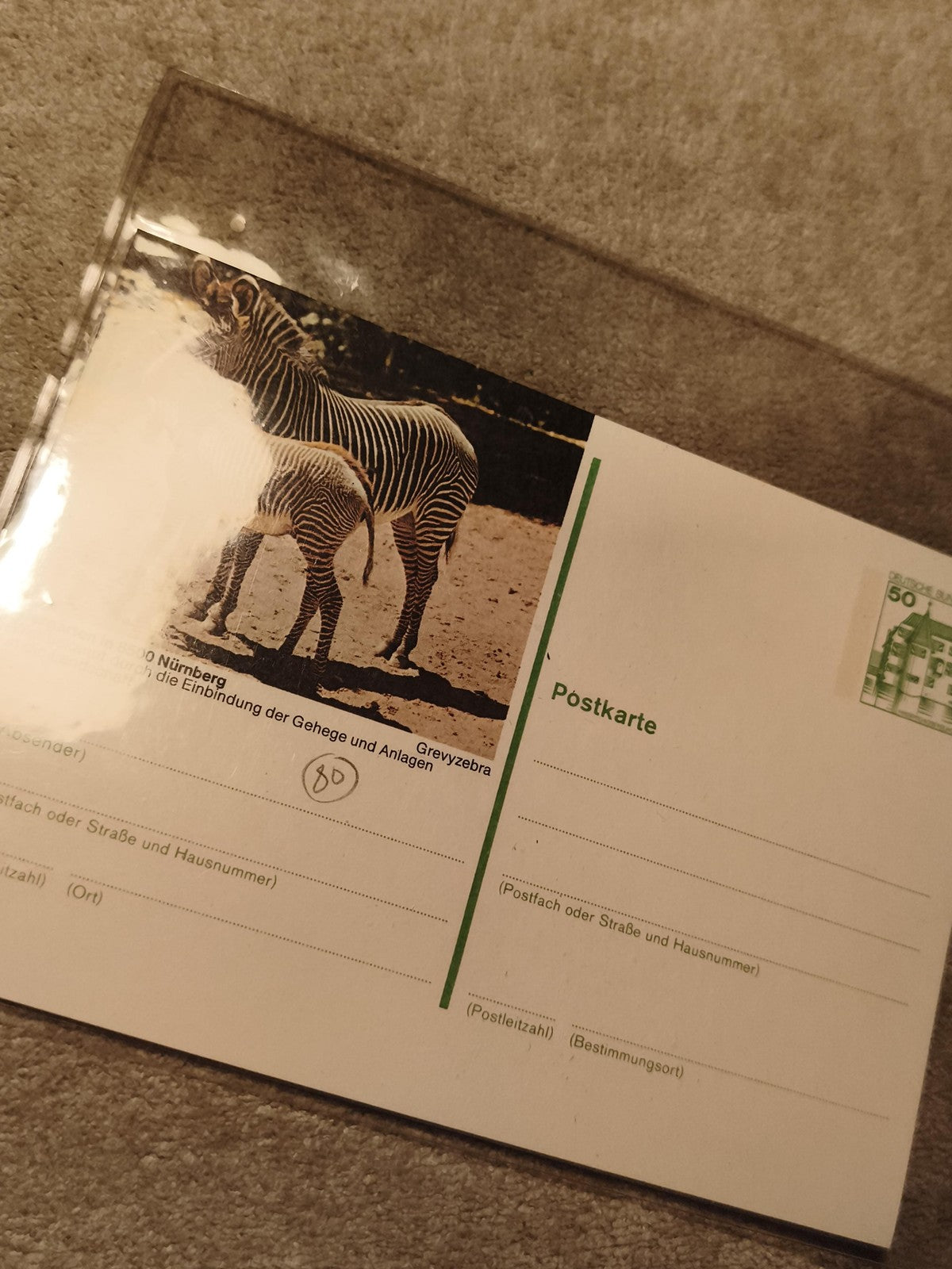 Carte postale zèbre Grevy Zoo Nürnberg affranchie philatélie Allemagne (Ref 27)