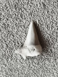 Fossile dent de requin, teinte claire, pointe triangulaire, aspect naturel