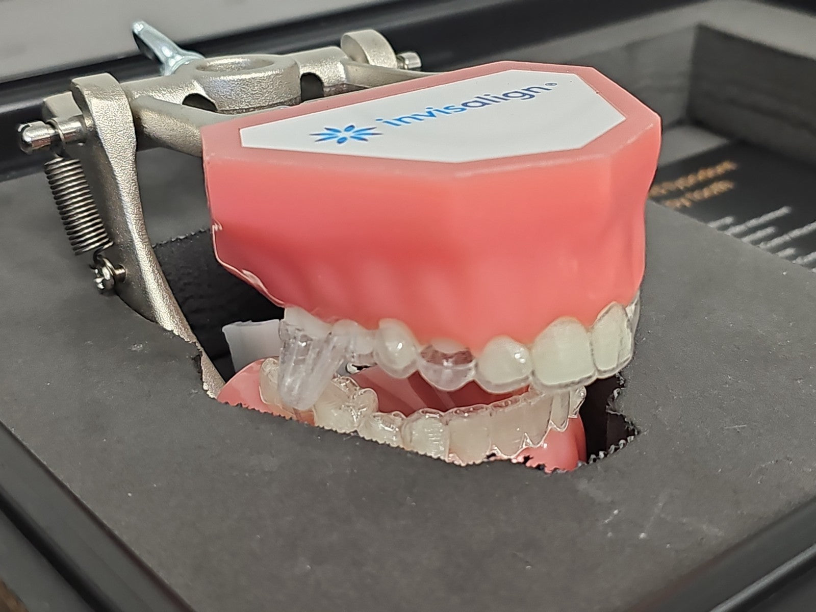 Modèle dentaire démonstration Invisalign écarteur joue typodont orthodontie