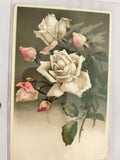 Carte postale ancienne fleurs roses blanches illustration vintage CPA
