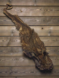 Peau de félin taxidermie vintage, cabinet de curiosités, ancienne, 90cm