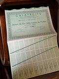 Action Calafruits 10000 Francs au porteur années 1920 Lyon vintage