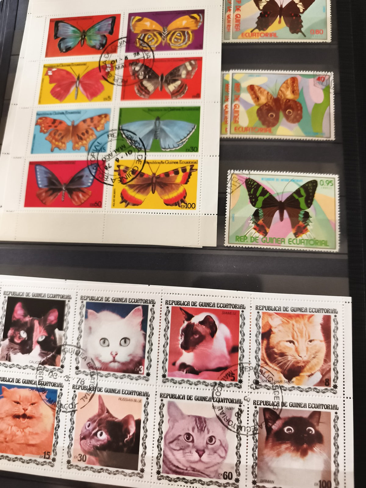 Timbres anciens Guinée Équatoriale oblitérés papillons chats série animalière