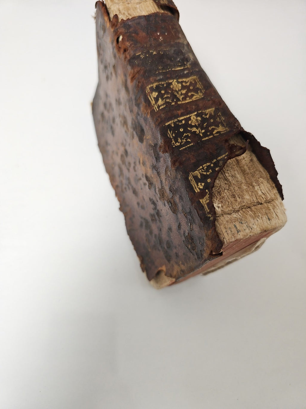 Livre ancien médecine pratique Arnault de Nobleville vintage collection rare