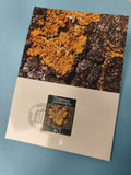Carte postale Liechtenstein timbre 40 Fürstentum orange lichens oblitérée
