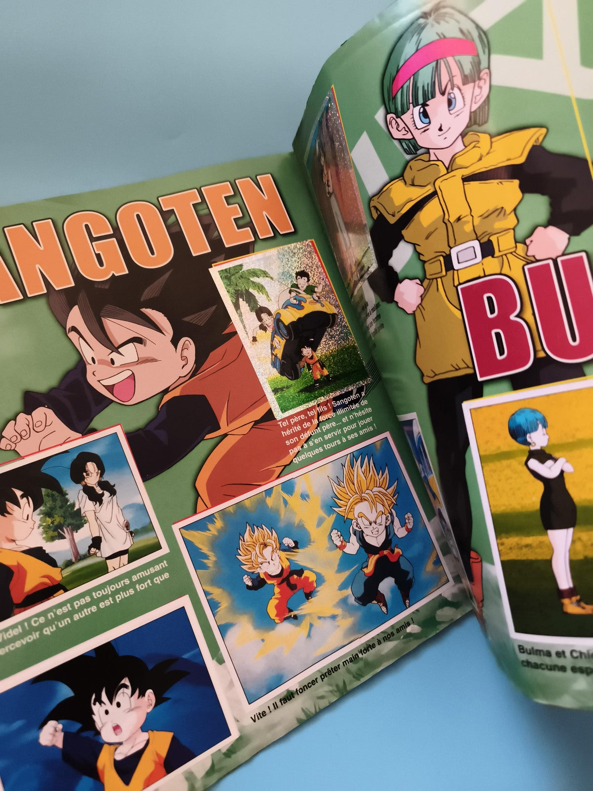 Album Panini Dragon Ball Z incomplet Goku Shenron sticker book