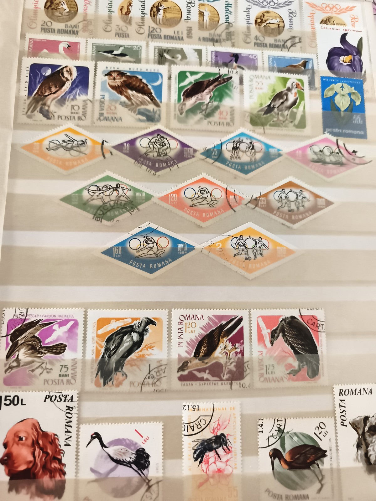Timbres anciens Roumanie animaux oiseaux oblitérés lot philatélie vintage