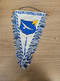 Fanion rétro Racing Football Club Toulon vintage, blason mouette bleu blanc